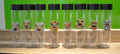 Water Bottles